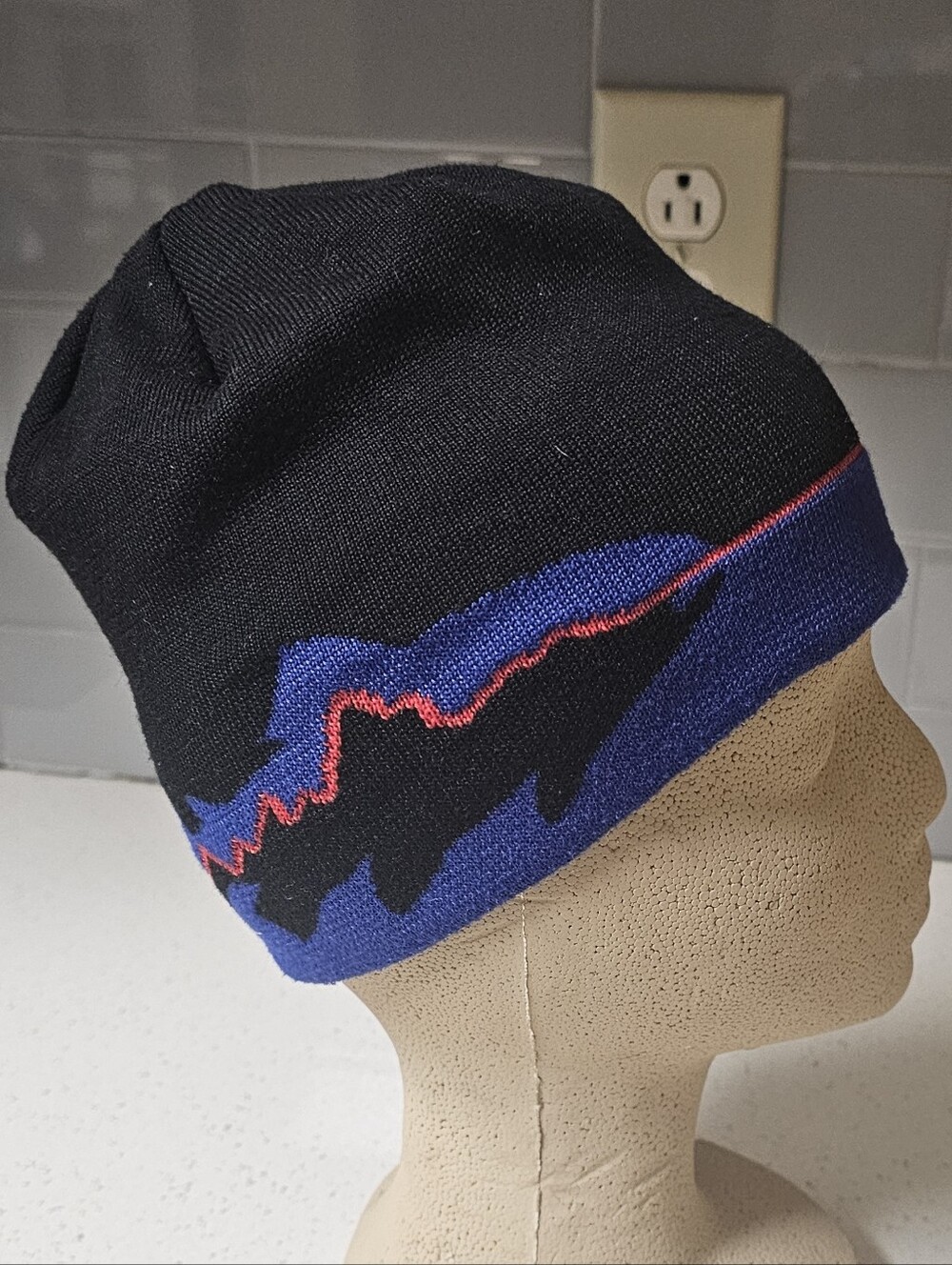 Rare Discontinued Fitzroy Trout Fish Patagonia Beanie Hat LTD Collection Acce